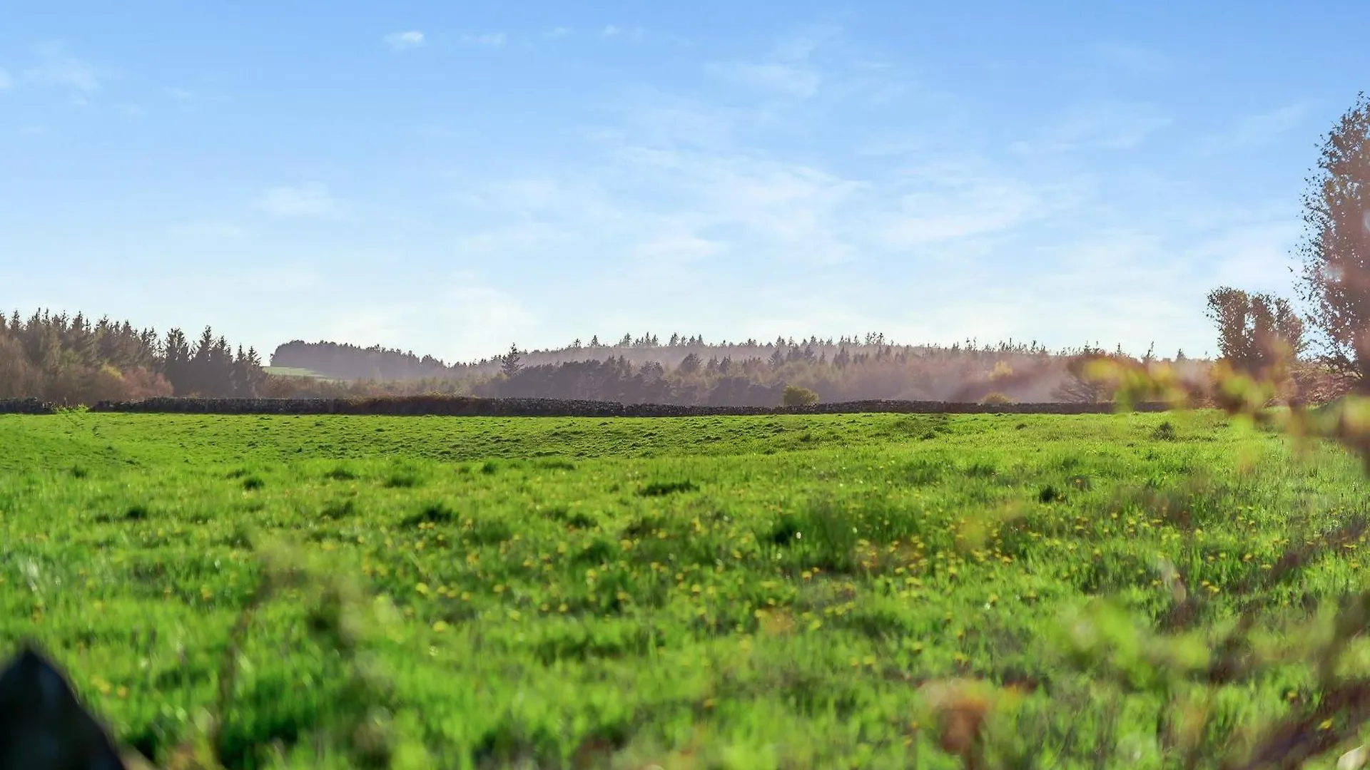 Σπίτι διακοπών Farm View - Uk43708 Βίλα Σκάρμπορο